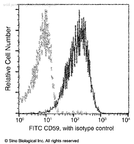 Sino Biological 80299-R014-F image 1