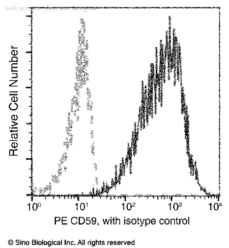 Sino Biological 80299-R014-P image 1