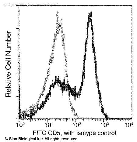 Sino Biological 80374-MM06-F image 1