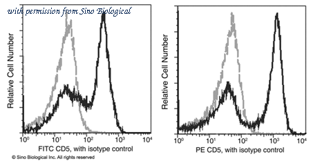 Sino Biological 80374-MM06-P image 1