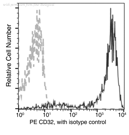 Sino Biological 90014-R046-P image 1