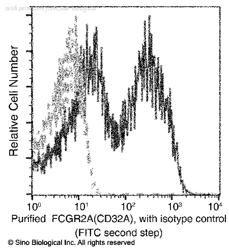 Sino Biological 90016-R043 image 1