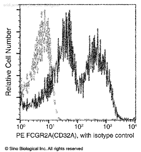 Sino Biological 90016-R043-P image 1