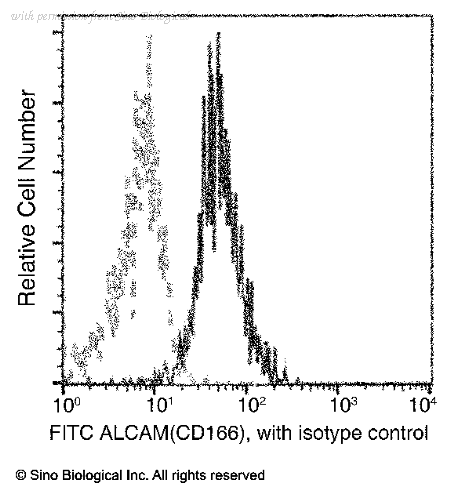 Sino Biological 90227-R018 image 1