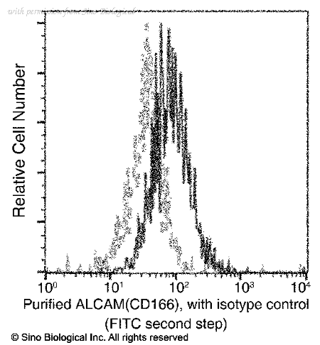 Sino Biological 90227-R018-F image 1