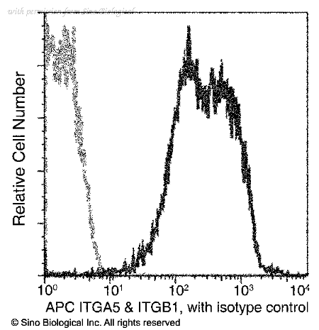 Sino Biological CT014-MM05-A image 1