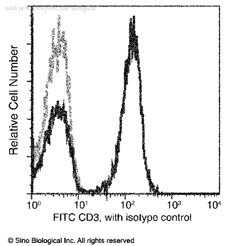 Sino Biological CT026-R301-F image 1