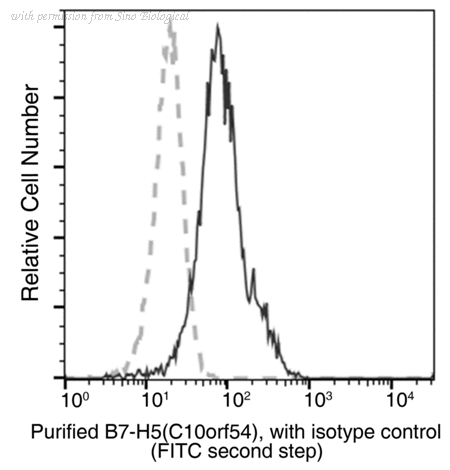 Sino Biological 13482-M017 image 1