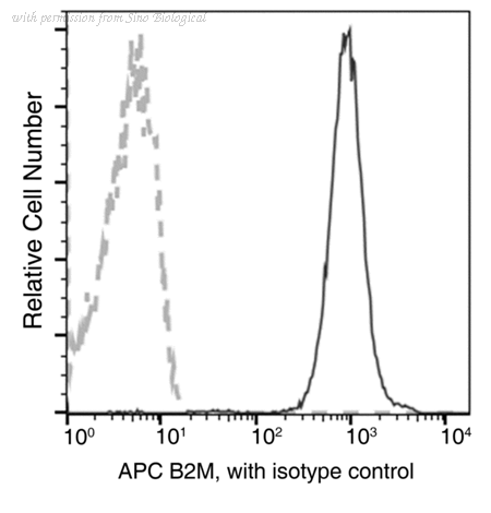 Sino Biological 11976-MM35-A image 1