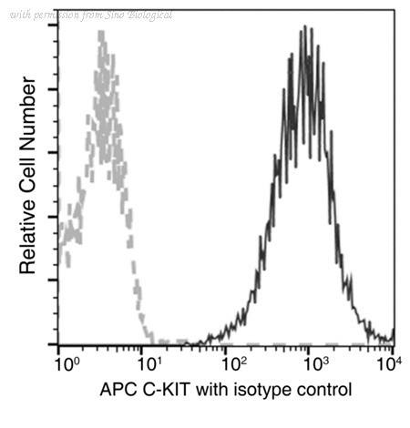 Sino Biological 11996-MM41-A image 1