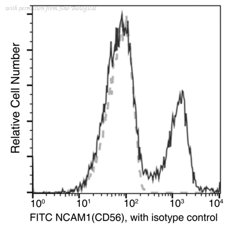 Sino Biological 10673-MM05-F image 1