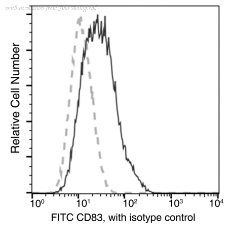 Sino Biological 11763-MM02-F image 1