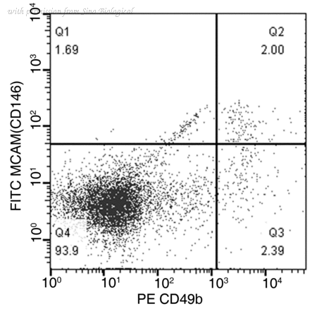 Sino Biological 50794-R241-F image 1