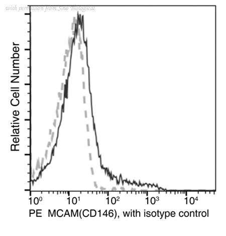 Sino Biological 50794-R241-P image 1