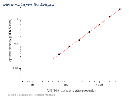 Sino Biological SEK10513 image 1