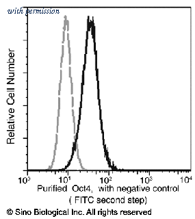 Sino Biological 100105-MM03T image 1