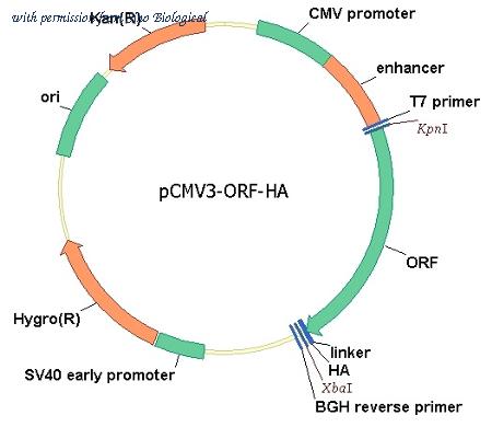  HG10182-CY ͼ 1