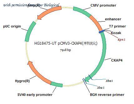 Sino Biological HG18475-UT image 1
