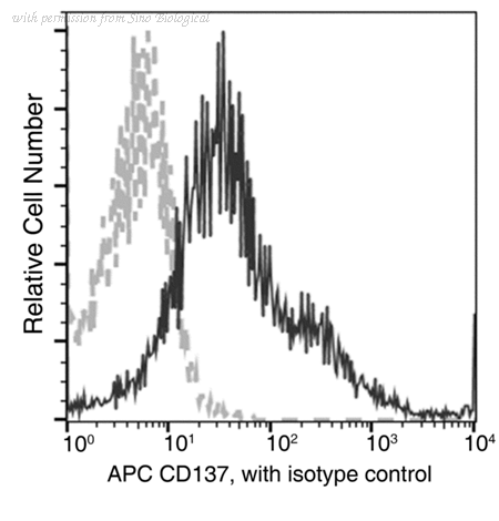 Sino Biological 10041-R819-A image 1