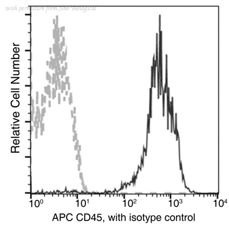 Sino Biological 10086-MM05-A image 1
