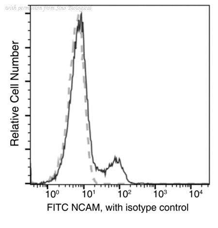 Sino Biological 10673-R201-F image 1