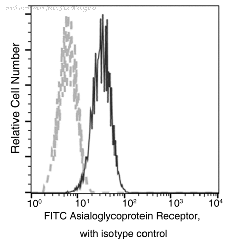 Sino Biological 10773-MM02-F image 1
