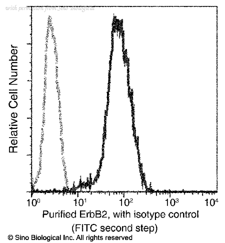 Sino Biological 10004-MM07T image 1