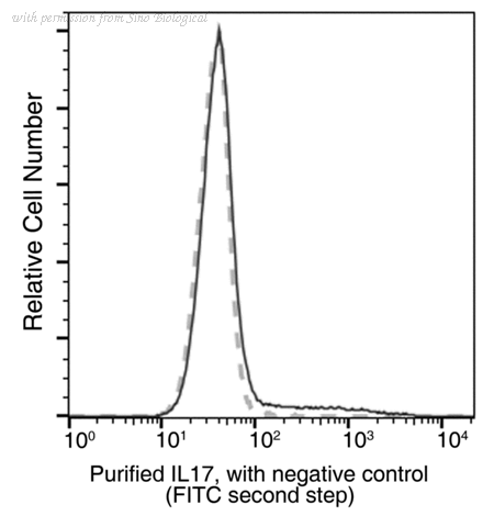 Sino Biological 51065-R208 image 1