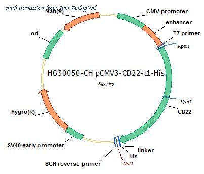 Sino Biological HG30050-CH image 1