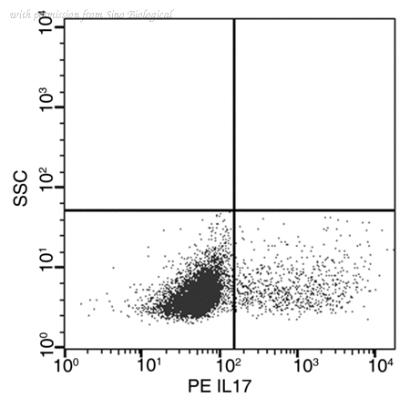 Sino Biological 51065-R217-P image 1