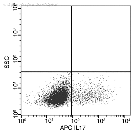 Sino Biological 51065-R208-A image 1