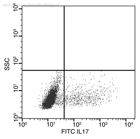 Sino Biological 51065-R208-F image 1