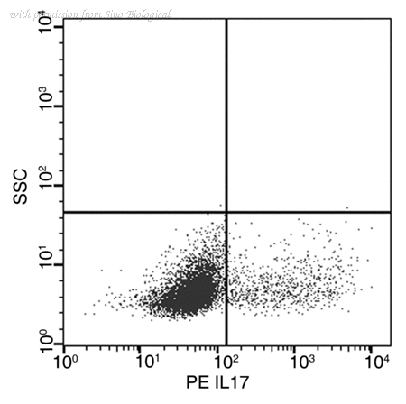 Sino Biological 51065-R208-P image 1