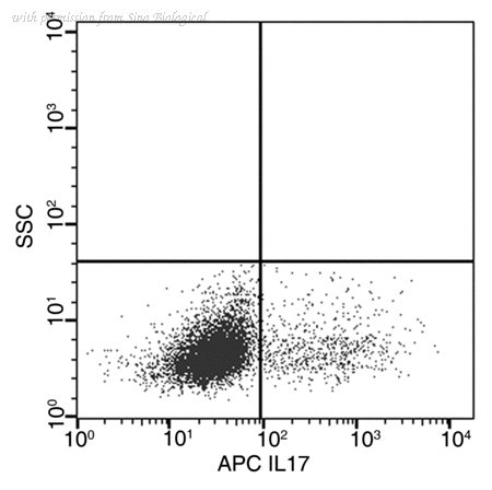Sino Biological 51065-R217-A image 1
