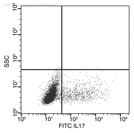 Sino Biological 51065-R217-F image 1