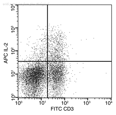Sino Biological 80075-MM06-A image 1