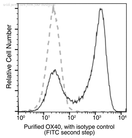 Sino Biological 50808-R055 image 1