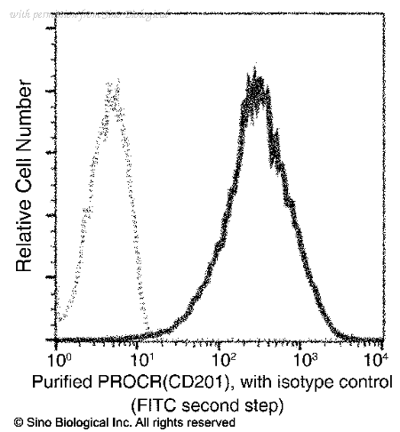 Sino Biological 50874-R016 image 1