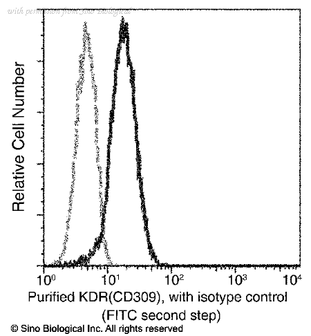 Sino Biological 50998-R001 image 1