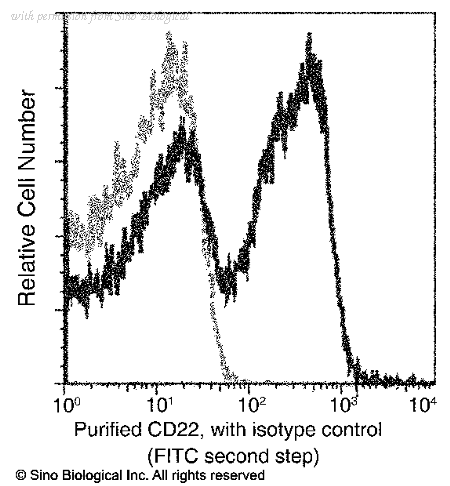Sino Biological 51177-R026 image 1