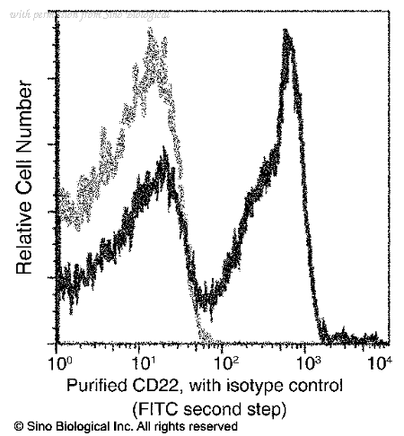 Sino Biological 51177-R060 image 1
