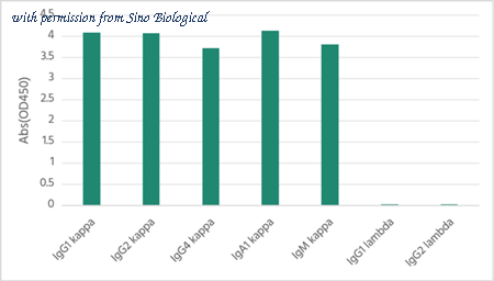 Sino Biological 68077-R008-H image 1