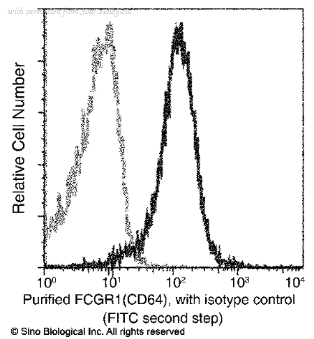 Sino Biological 80016-R005 image 1