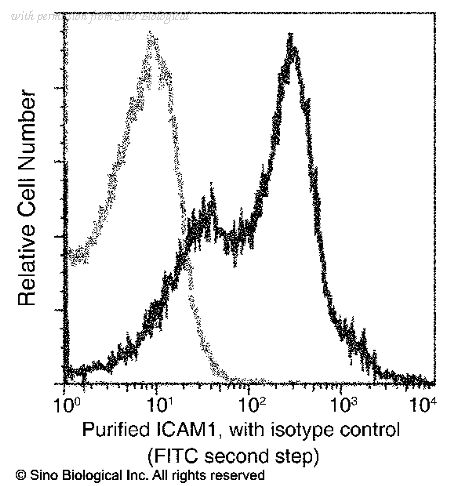 Sino Biological 80022-R037 image 1