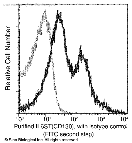 Sino Biological 80030-R108 image 1