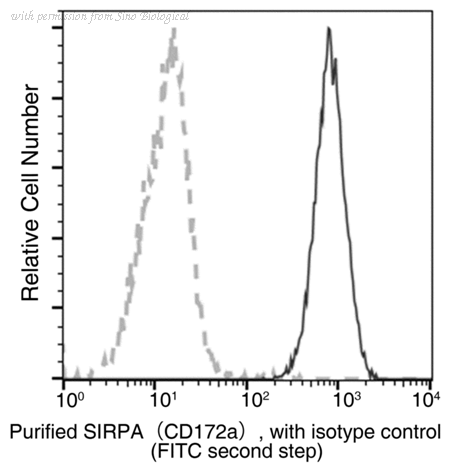 Sino Biological 80270-R103 image 1