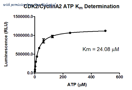 Sino Biological C29-10G image 1