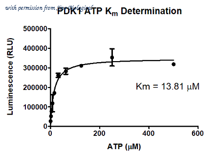 Sino Biological P14-10H image 1