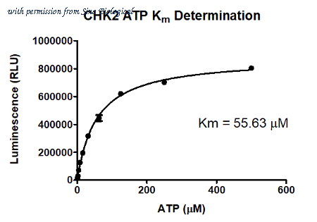 Sino Biological C48-10G image 1