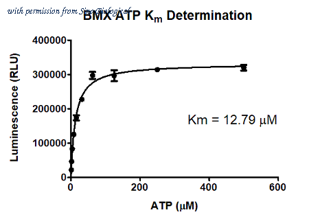 Sino Biological B07-10G image 1